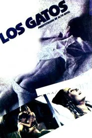 High Class Affair movie poster