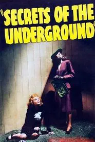 Poster do filme Secrets of the Underground