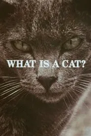 Poster do filme What Is a Cat?