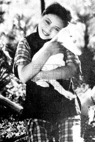 挣扎 movie poster