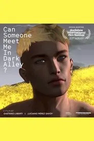 Can Someone Meet Me in Dark Alley? movie poster