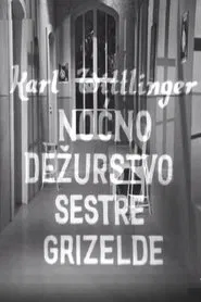 Nurse Griselda's Night Watch movie poster