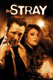 The Stray movie poster