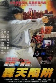 Poster do filme Guns of Dragon