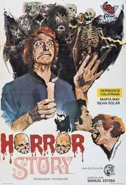 Poster do filme Horror Story