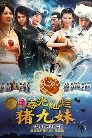 Spring Brightened Zhu Jiumei tv show poster