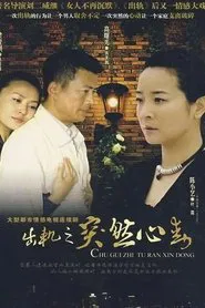 Poster da série 突然心动