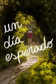Poster do filme A Desired Day
