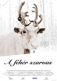 Poster do filme The White Reindeer