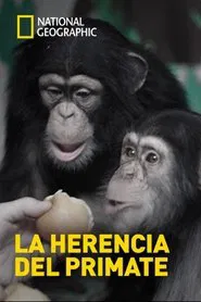 The Human Ape movie poster