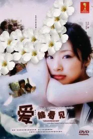 Ai wa mieru: Zenmô fûfu ni yadotta chiisana inochi movie poster