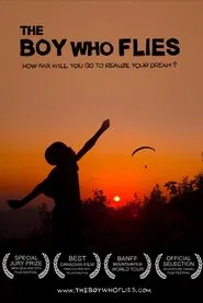 The Boy Who Flies movie poster