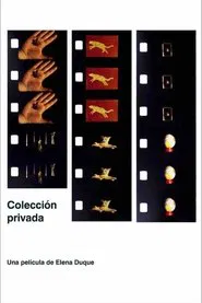 Private Collection movie poster
