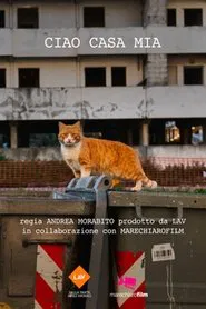 Ciao casa mia movie poster