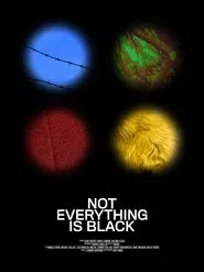 Not Everything Is Black movie poster