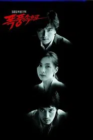 폭풍 속으로 tv show poster