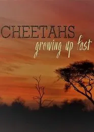 Cheetahs: Growing Up Fast movie poster