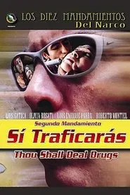Poster do filme Sí Traficarás