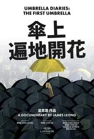 Poster do filme Umbrella Diaries: The First Umbrella