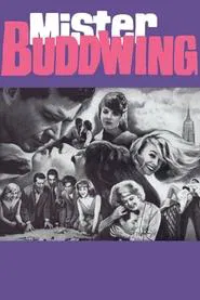 Mister Buddwing movie poster
