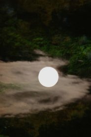 A Spell in Fairyland movie poster