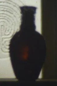 Disappearances movie poster