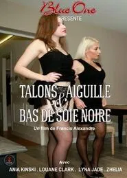 Poster do filme Talons aiguille et bas de soie noire