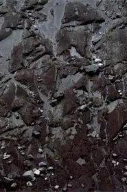 Blue Suns movie poster