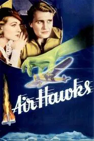 Air Hawks movie poster