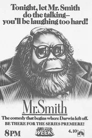 Mr. Smith tv show poster
