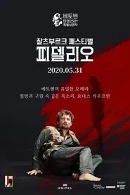 Fidelio - Salzburg movie poster