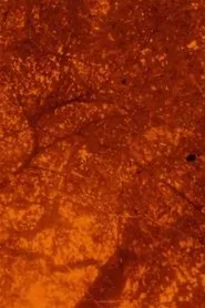 See Beneath the Static movie poster