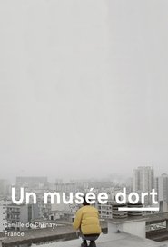 A Museum Sleeps movie poster
