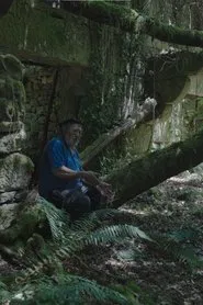 O Seixoval. A montaña máxica movie poster