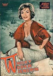 Rendezvous in Wien movie poster