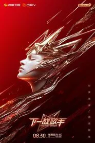 Poster da série The Next Singer