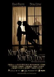 Now You See Me, Now You Don't movie poster