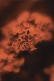 Poster do filme Notes from the Farm