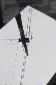 Visão 2013 para Roberto Piva movie poster