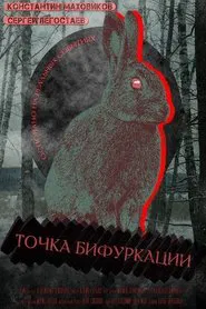 Poster do filme Point Of Bifurcation