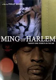 Ming of Harlem: Twenty One Storeys in the Air movie poster
