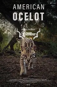 Poster do filme American Ocelot