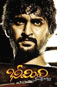 Bheemili Kabaddi Jattu movie poster