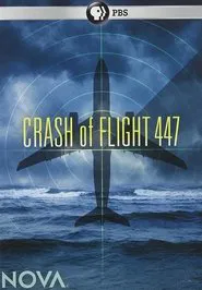 Crash of Flight 447 movie poster