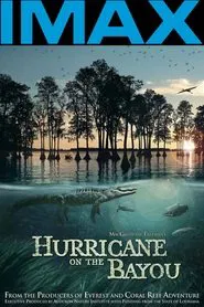 Hurricane on the Bayou movie poster
