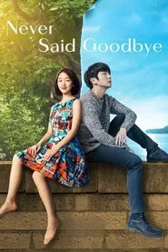 Never Said Goodbye movie poster