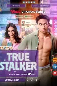 Poster da série True Stalker