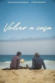 Volver a casa movie poster