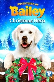 Poster do filme Uma Aventura no Natal