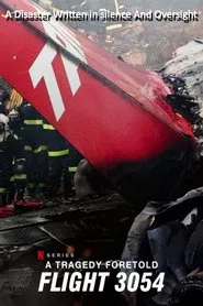 A Tragedy Foretold: Flight 3054 tv show poster